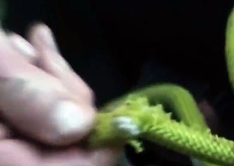 인터넷스포츠토토 온라인스포츠토토  DKRT2쩜 C0M ΨΨ 토토검증방