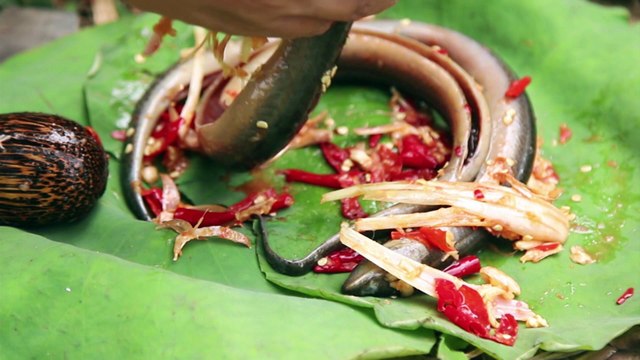 Primitive Technology Grilled Eel And Eating Delicious In the Forest Wilderness Food