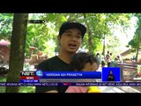 Wisata Interaksi Dengan Hewan di Yogyakarta - NET12