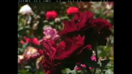 Episode 2: Syeikh Abdul Qadir Jailani - Subtitle Indonesia & Melayu 📖