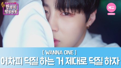 [한 밤의 덕밍아웃 WANNAONE편 Ep.6] 어차피 덕질 하는 거 제대로 덕질 하자 [ENG SUB]