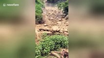 Landslide caused by heavy rain caught on camera in Vietnam