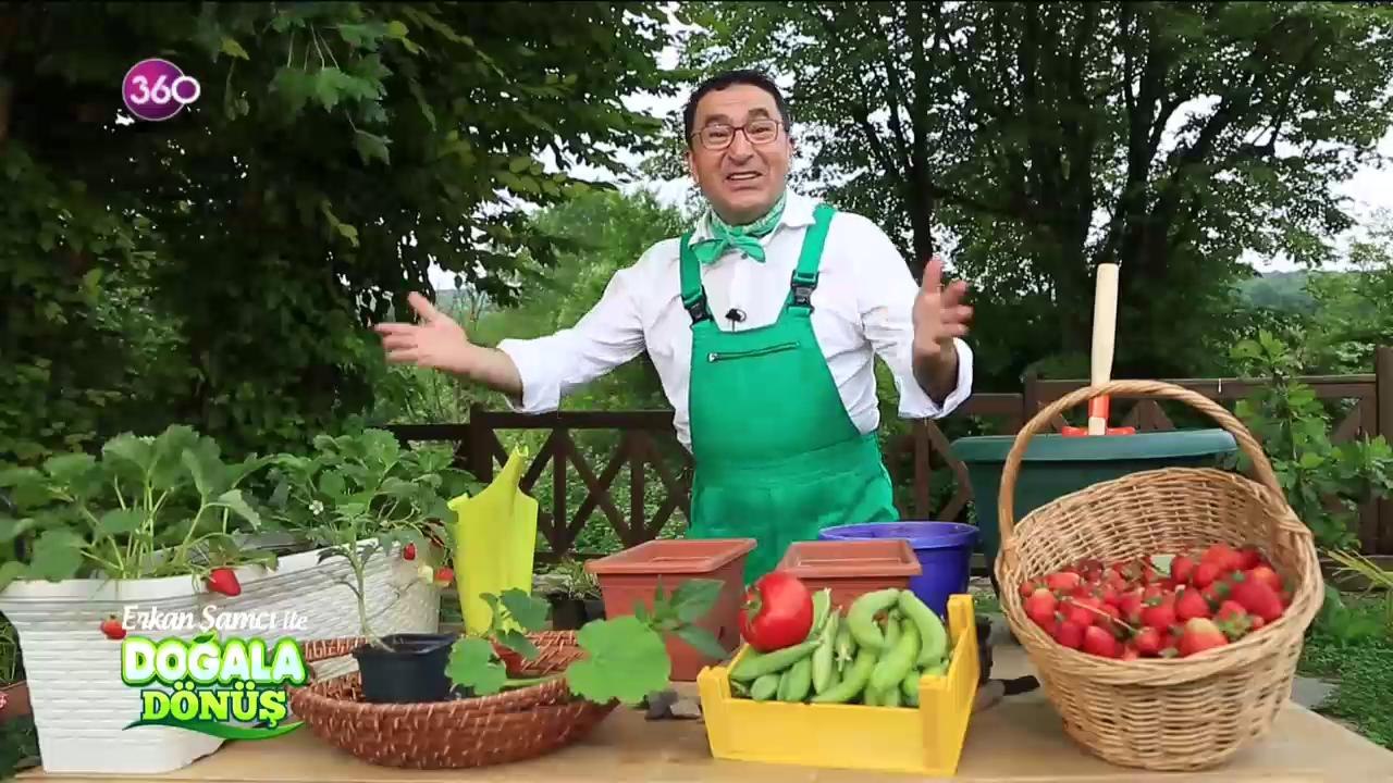 Doğala Dönüş / Evde Tarım