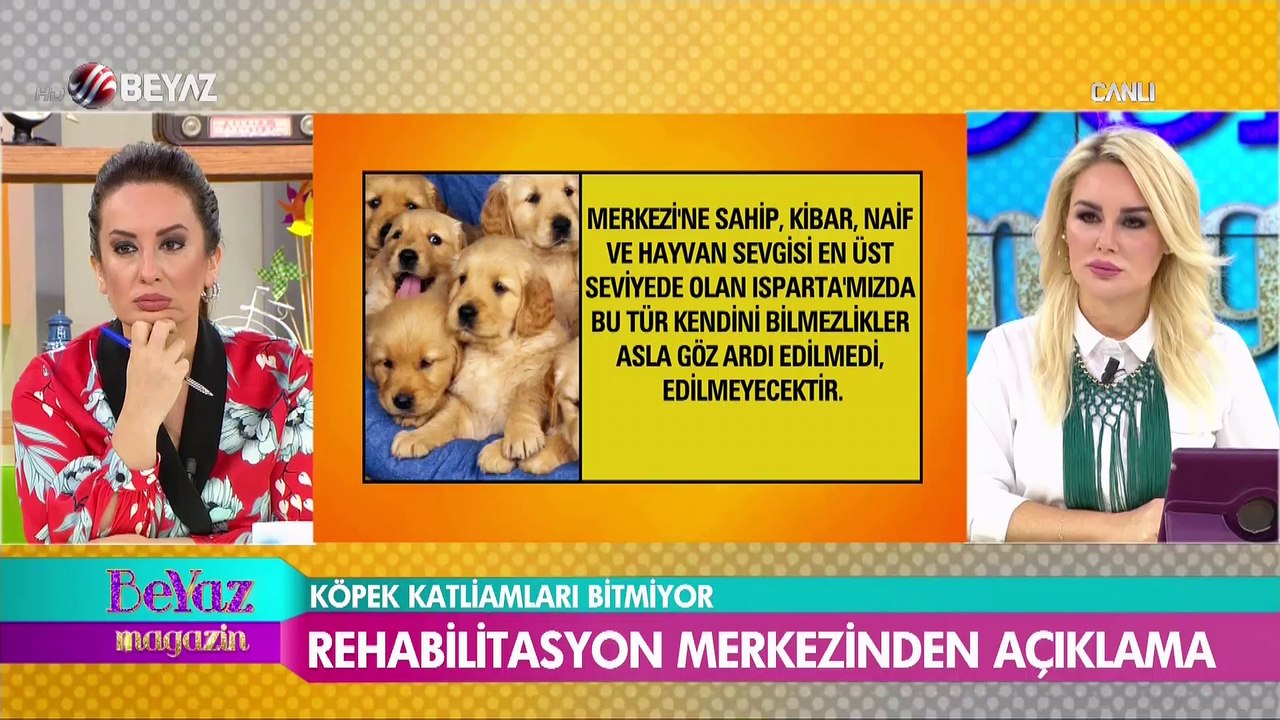 Köpek katliamları bitmiyor