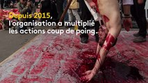 L'association 269 Libération animale : des activistes spécialistes des actions-chocs