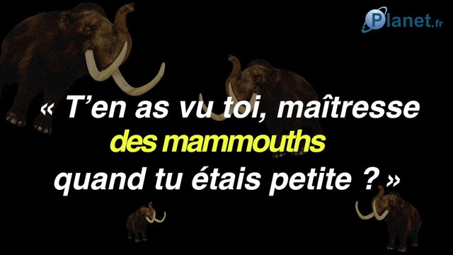 Maîtresse ! : les plus belles perles d'une institutrice !