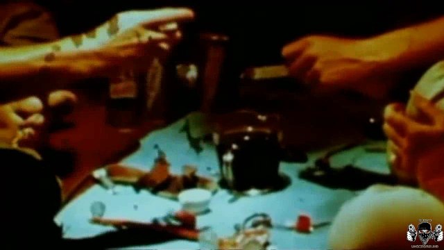 ALUCINOGENOS Y EXTASIS - DROGAS Y CEREBRO