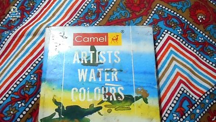 camel artists water colours unboxing in hindi #30