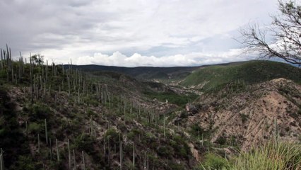 Valle de Tehuacán-Cuicatlán de México patrimonio de la humanidad