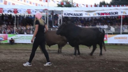 Artvin Üniversite Mezunu Boğacı Kadın İlgi Odağı Oldu Hd
