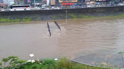 경기 광주 경안천 홍수주의보 발령 / YTN