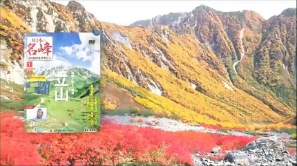 世界の日本人妻は見た！SP 出川哲朗 5月23日２／２ part 2/2