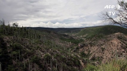 Vale no México é declarado Patrimônio da Humanidade