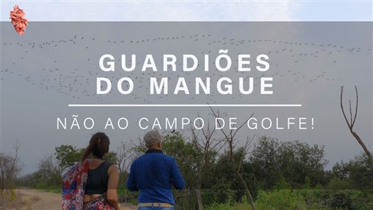 Guardiões do mangue