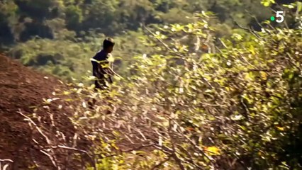 Un enfant capture des mygales à la main ! - ZAPPING NOMADE
