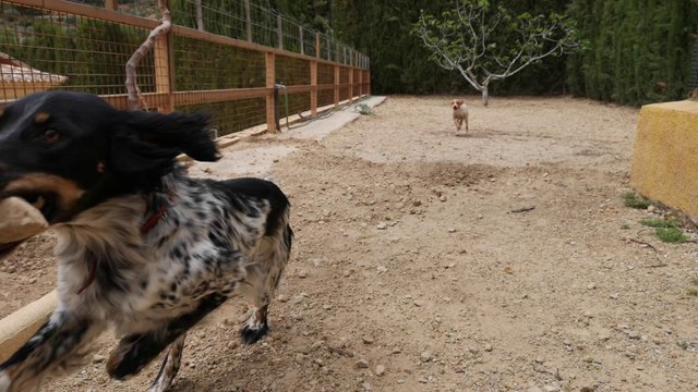 Vídeo en exterior a 4K con el Huawei Mate RS Porsche Design