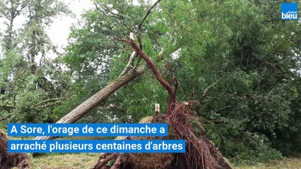Landes : Sore très violemment touché par l'orage