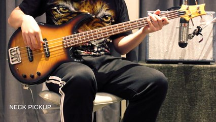 PRS Electric Bass 4 String EB-4 10-top | alien rabbit Used Collection