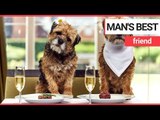 Brits would choose the company of their pets over their friends | SWNS TV