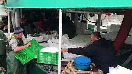 Hamsi Bolluğu Fiyatları Düşürmedi