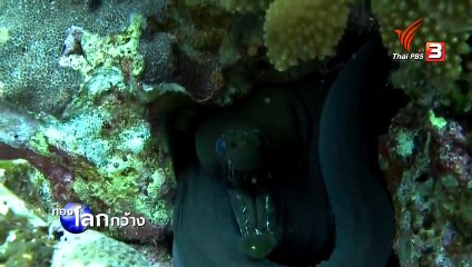 ท่องโลกกว้าง 8 พฤศจิกายน 2561 ณ จุดหนึ่งบนพื้นพิภพ ตอน ญี่ปุ่น