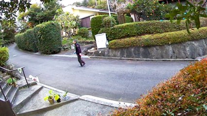 EDR November #18 2018 Suspicious People: Round-Trip Woman