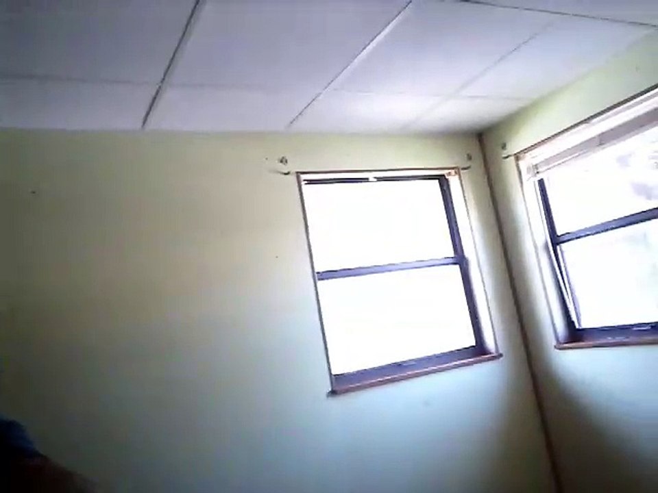 Pest Control Pinellas Termite Treatment Seminole FL