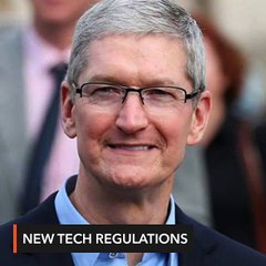 New tech regulation 'inevitable,' Apple CEO says