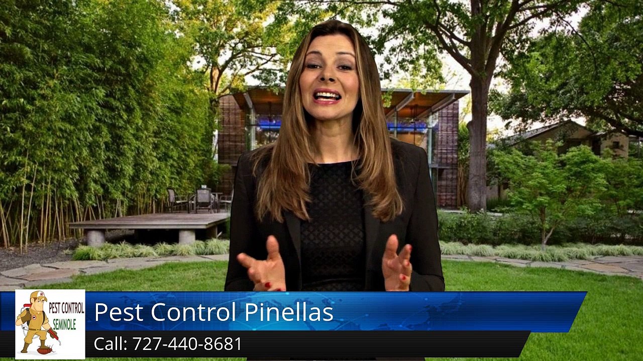 Seminole Termite & Pest Control Review of  Pest Control Pinellas Seminole FLGreat Five Star Re...