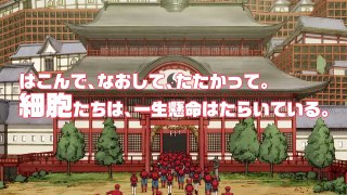 【公式】TVアニメ『はたらく細胞』新作エピソード制作決定PV  12月26日(水)24時30分より放送！