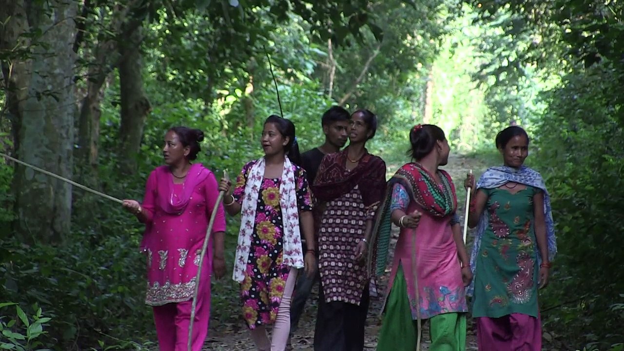 Hightech schützt nepals tiger