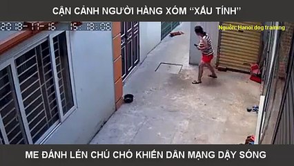 CẬN CẢNH NGƯỜI HÀNG XÓM “XẤU TÍNH” ME ĐÁNH LÉN CHÚ CHÓ KHIẾN DÂN MẠNG DẬY SÓNG