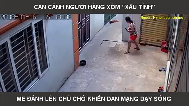 CẬN CẢNH NGƯỜI HÀNG XÓM “XẤU TÍNH” ME ĐÁNH LÉN CHÚ CHÓ KHIẾN DÂN MẠNG DẬY SÓNG