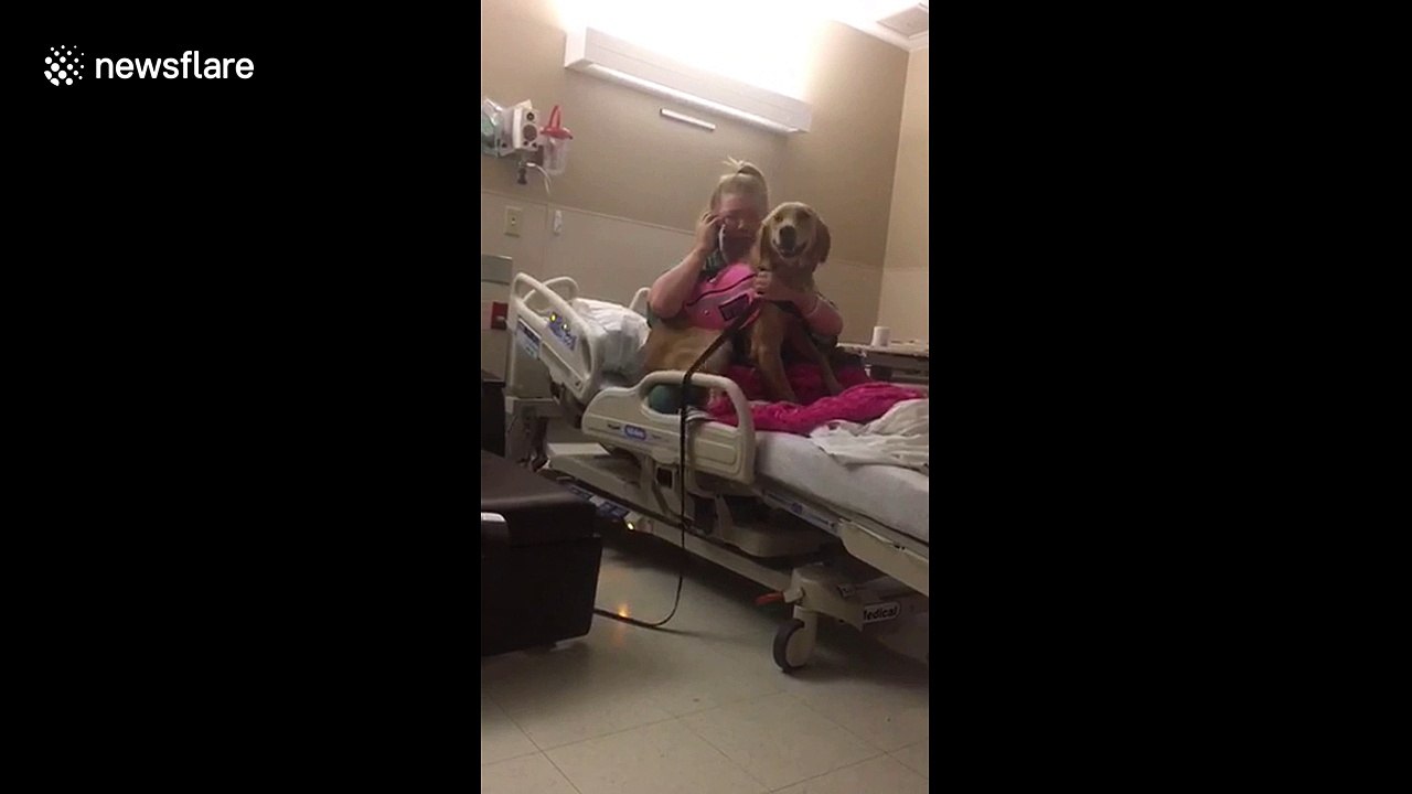 US woman reunited with service dog after four months apart