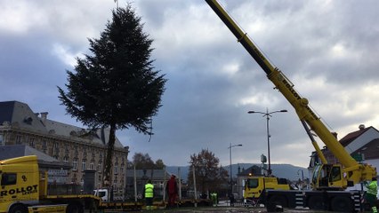 Le sapin de Noël installé place Jules-Méline à Remiremont sous quelques poussières de neige