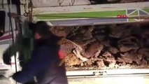 Van'da Kamyonet Kasasındaki Odunların Arasından Esrar Çıktı