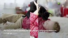 Pourquoi les chiens sont les meilleurs animaux domestiques