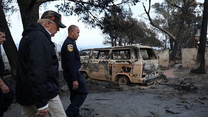 Дональд Трамп: "Мы тоже будем убирать подлесок"