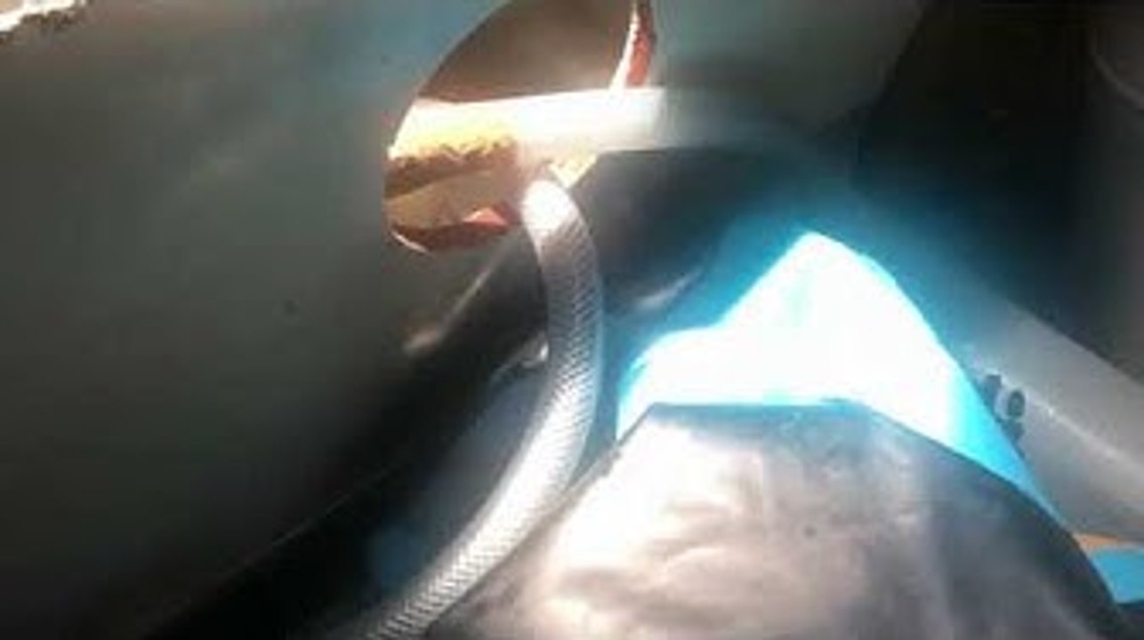 vidéo du bord - Sebastien destremeau - Alcatrazit - Face Ocean