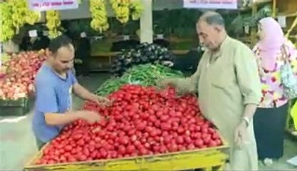 «إعلامهم كاذب 2».. فيديو يرصد ردود المواطنين على شائعات «الإخوان»