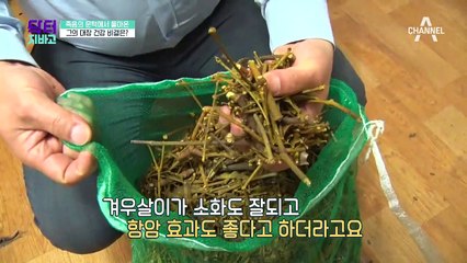 약초와 곤약으로 대장암 완치까지! 각종 활용법 大공개