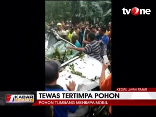 Pohon Tumbang Tewaskan Penumpang Mobil di Kediri