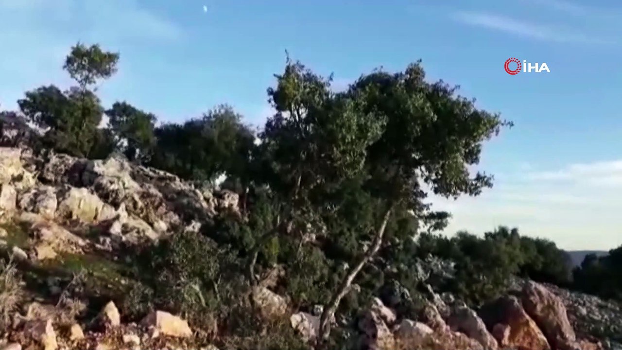 Araban'da yapılan kömür yardımları ile ağaç kesiminin önüne geçildi