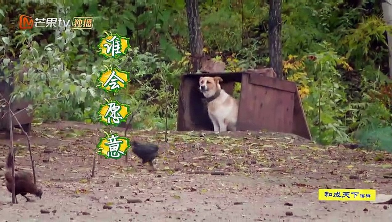 《野生手账》主厨篇 汪涵 EP4：知名主持人当众和鸡吵架！涵哥厨艺惨遭滑铁卢 Wild Kitchen【湖南卫视官方频道】