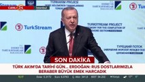 Cumhurbaşkanı Erdoğan: Doğal gazı Avrupa'ya aktarmayı planlıyoruz