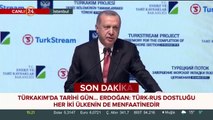 Erdoğan: Rusya ile iş birliğimiz çok geniş bir yelpazede ilerliyor