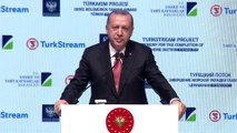 Erdoğan: 'TürkAkım Projesi'nin artık son aşamasına gelmiş bulunuyoruz' - İSTANBUL