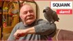Firefighters Rushed Out to Find Parrot MIMICKING a FIRE ALARM! | SWNS TV