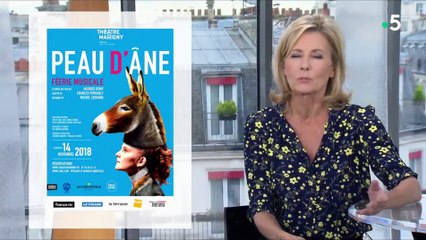 Entrée libre_France 5_2018_11_18_13_35_cut