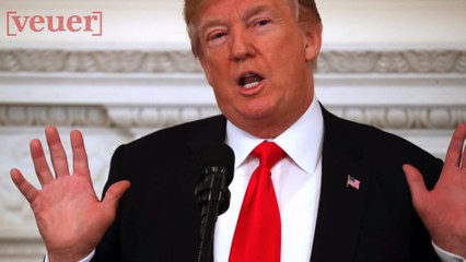 President Trump on Making Decisions: 'I Don’t Think About Them'